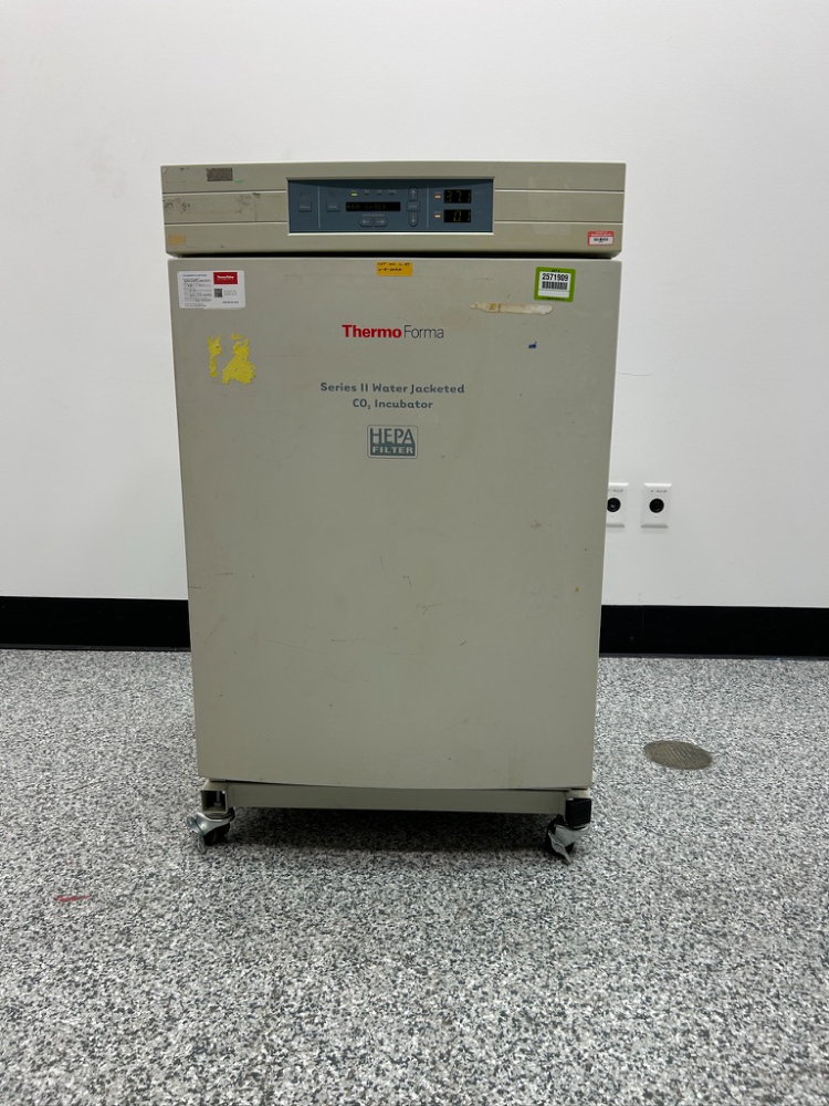 Image of Thermo 3110 Incubator